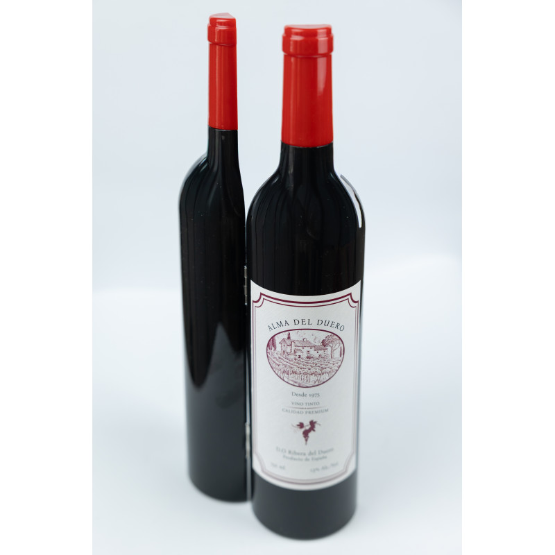 Conjunto Set Vinho