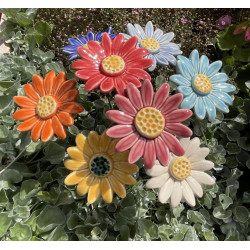 Flor Margarida Grande