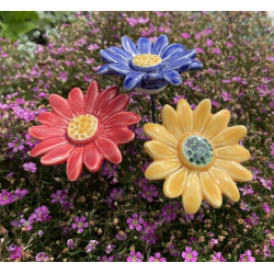 Flor Margarida Grande