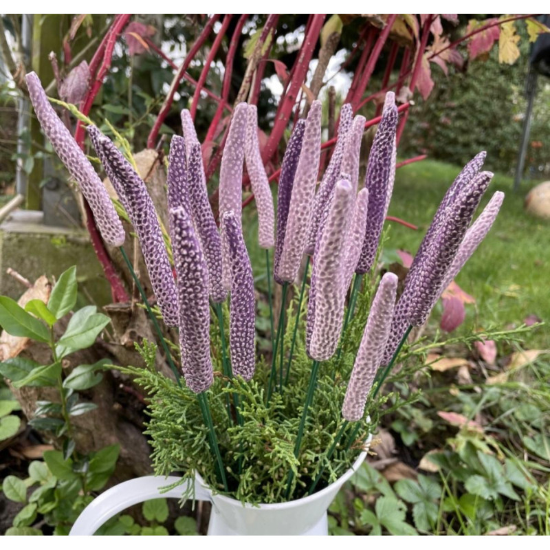 Lavanda - Cerâmica