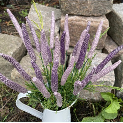 Lavanda - Cerâmica
