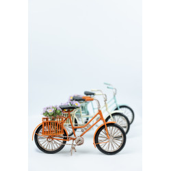 Bicicleta Decorativa
