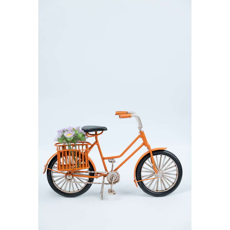 Bicicleta Decorativa