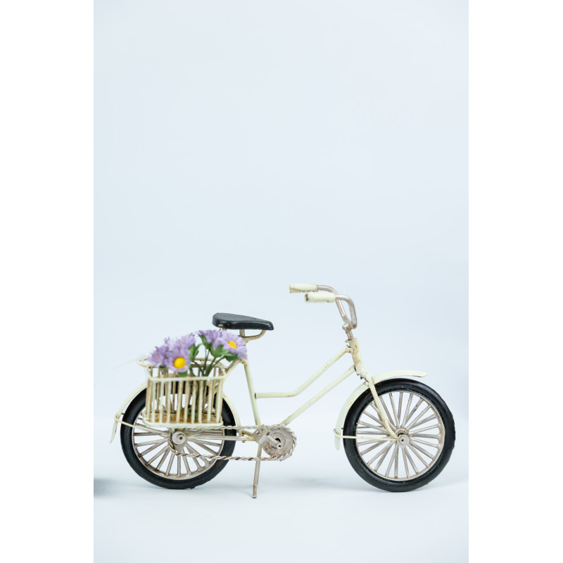 Bicicleta Decorativa