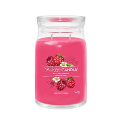 Vela Grande Yankee - Vários Fragrâncias